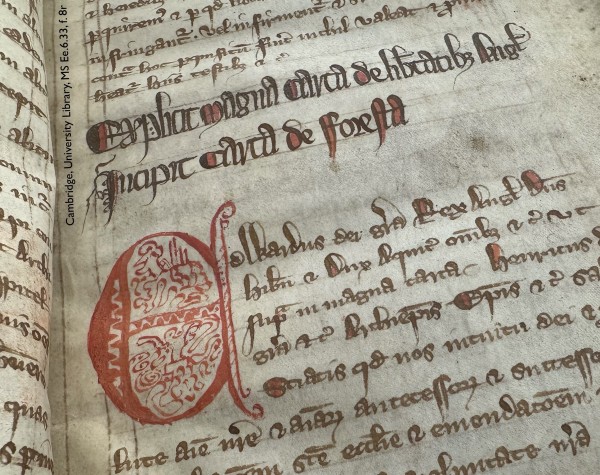 Detail of a leaf in a medieval manuscript: folio 8 recto in Cambridge, University Library, manuscript Ee.6.33. The photo is taken on a slight angle, looking up and across the page from towards the lower left corner. Visible are 5 lines of Latin copied in dark brown ink, followed by 2 lines copied in a larger display script and highlighted with dabs of red ink, then another 8 lines in dark brown ink. In this last section, the first 5 lines are indented to accommodate an enlarged initial ‘E’ for ‘Edwardus’. Rendered in red ink by a less expert hand, the initial is ornamented with an abstract pattern of squiggly red lines. 