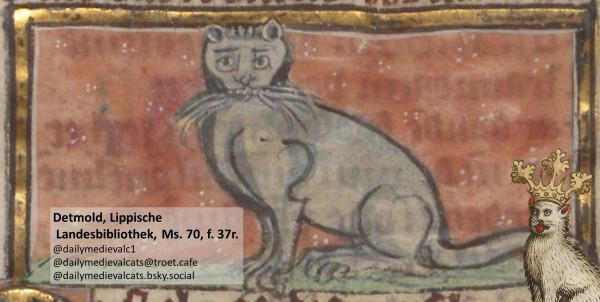 Picture from a medieval manuscript: A gray cat with long whiskers