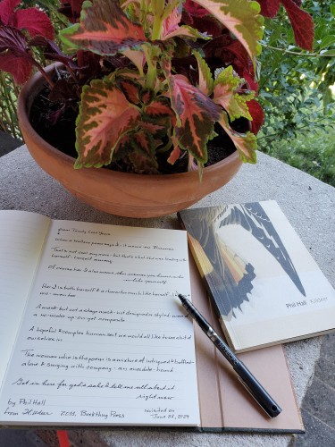 Handwritten transcription of part of the poem-essay "Twenty LostYears" from the poetry collection Killdeer by Phil Hall, with its striking cover showing a colourful bird wing, sits on a pillar with a notebook with an ornate gold cover, an uncapped black pen and a clay pot with a plant with bright, variegated leaves