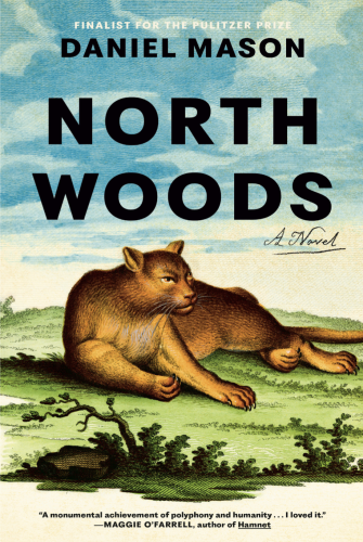 An ebook of North Woods by Daniel Mason.  The cover shows a catamount lying on some grass under a blue sky.  The text of the title is in bold black letters.