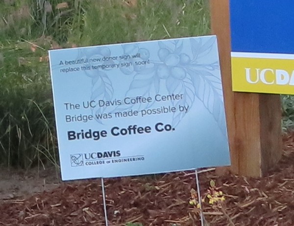 Close-up on the grey coroplast sign, which has a background of a drawing of a coffee plant. Text says "A beautiful new donor sign will replace this temporary sign soon! The UC Davis Coffee Center Bridge was made possible by Bridge Coffee Co. UC Davis College of Engineering"
