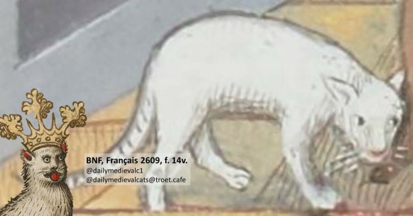 Picture from a medieval manuscript: A white cat tiptoeing.