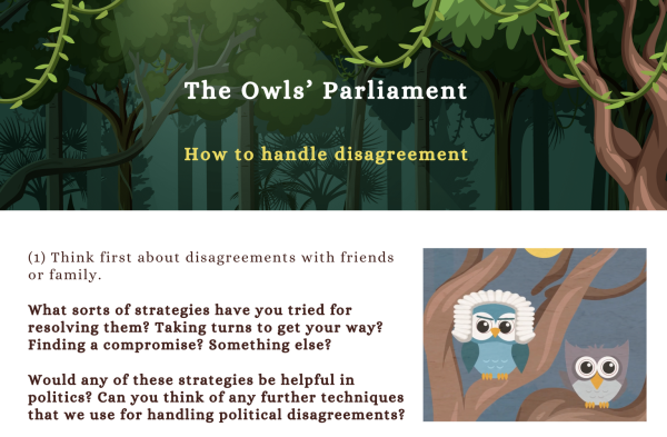 handout on the video The Owls' Parliament featuring a forest and some colourful owls