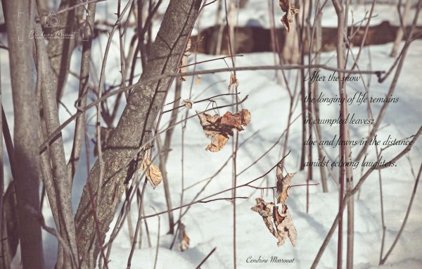 A photo of leaves hanging from branches, featuring a poem: "After the snow the longing of life remains in crumpled leaves; doe and fawns in the distance amidst echoing laughters." The image is signed Cendrine Marrouat