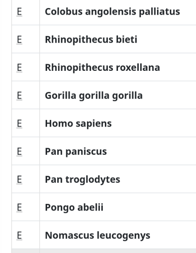 A list of nine scientific names of organisms, among them is "Gorilla gorilla gorilla". The full list is Colobus angolensis palliatus, Rhinopithecus bieti, Rhinopithecus roxellana, Gorilla gorilla gorilla, Homo sapiens, Pan paniscus, Pan troglodytes, Pongo abelii, Nomascus leucogenys.