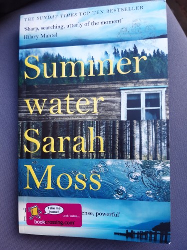 Book cover: six horizontal strips of photo: misty mountains, pine forest, a cabin close up, tree trunks, water surface with raindrops, loch panorama with jetty and mountains. Title and author in yellow. 