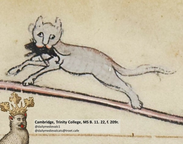 Picture from a medieval manuscript: A cat looking puzzled