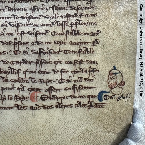 The lower half of a leaf in a medieval manuscript: folio 16 recto in Cambridge, University Library, manuscript Additional 732. Visible are 13 lines of medieval Law French copied in dark brown ink in a slightly rushed-looking hand. The text has been copied on indifferent parchment, and is punctuated with pilcrows, paragraph symbols, in red and blue (though only 1 red example is shown here). In the margin at right an early hand has added a note indicating c.16, highlighted with a blue pilcrow. Immediately above looms the head of a red-haired and red-bearded man wearing a lawyer’s coif. He gazes towards the text, eyes wide and round with alarm or even terror.